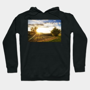 Italian Spinone in the Sunset Hoodie